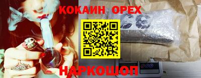 mdpv Гатчина