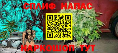 прущие грибы Гай