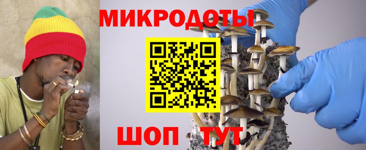 Грязи  Галлюциногенные грибы Cubensis  Вход с VPN 